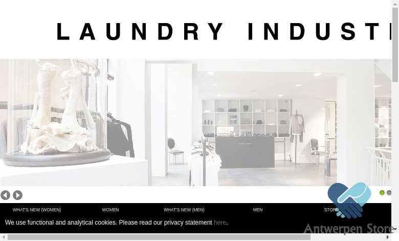 Laundry Industry