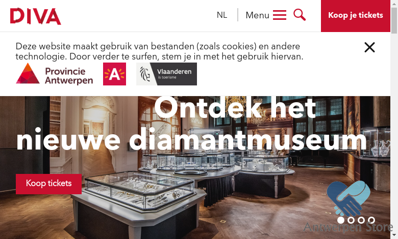 Diamant, juwelen en zilver in een nieuw museum | DIVA