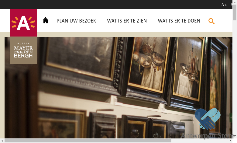 Museum Mayer van den Bergh | in Antwerpen